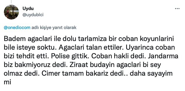 1. Ve birbirinden ilginç cevaplar aldık. 👇