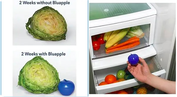 10. Освежитель для продуктов Bluapple
