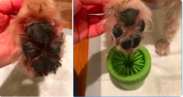 14. Очиститель для лап