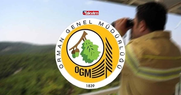 OGM İçin Ön Şartlar Nelerdir?