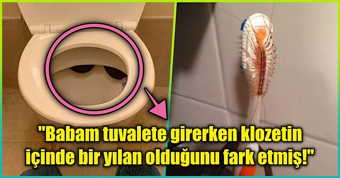 Doğanın Korkutucu Yüzünü İliklerinize Kadar Hissetmenize Sebep Olacak Birbirinden Ürkütücü 15 Yeni Fotoğraf