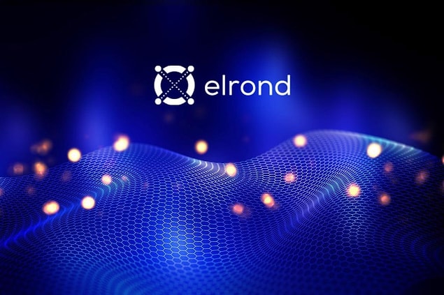 Micheal Van de Poppe'nin radarındaki son kripto para Elrond!