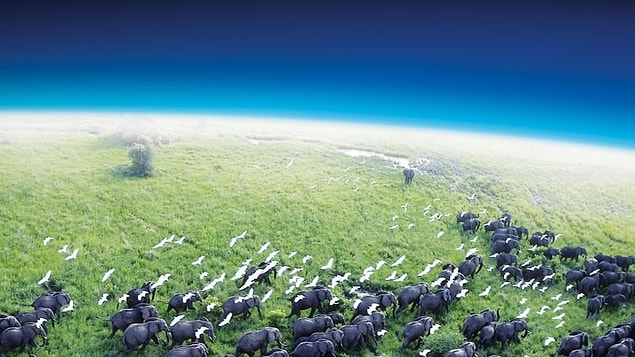 73. Planet Earth (2006)