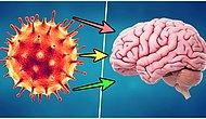 Yapılan Araştırmalar Sonucunda Koronavirüsü Hafif Atlatanların da Beyninde Kalıcı İz Oluştuğu Ortaya Çıktı
