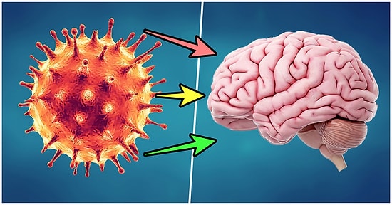 Yapılan Araştırmalar Sonucunda Koronavirüsü Hafif Atlatanların da Beyninde Kalıcı İz Oluştuğu Ortaya Çıktı