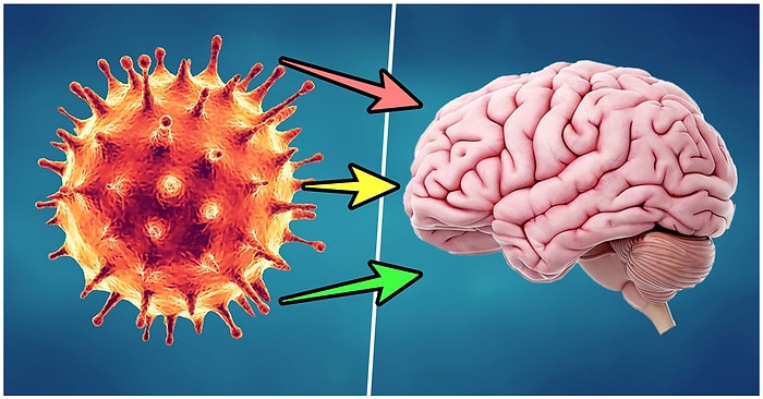 Yapılan Araştırmalar Sonucunda Koronavirüsü Hafif Atlatanların da Beyninde Kalıcı İz Oluştuğu Ortaya Çıktı