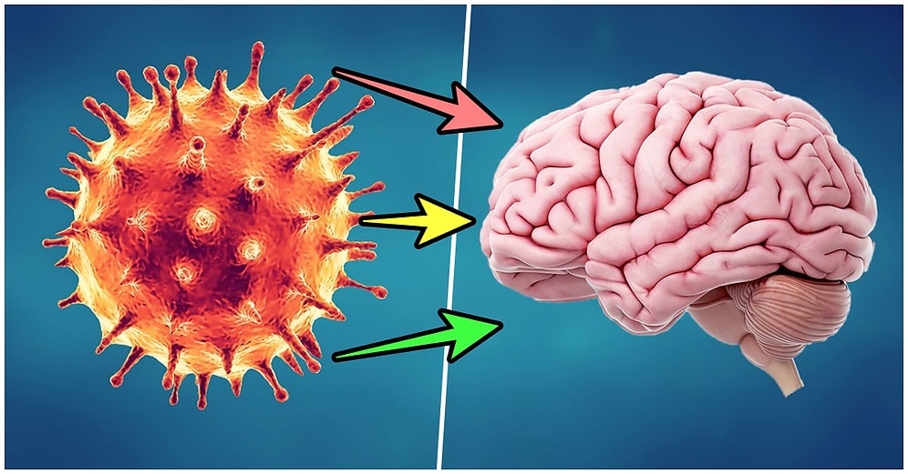 Yapılan Araştırmalar Sonucunda Koronavirüsü Hafif Atlatanların da Beyninde Kalıcı İz Oluştuğu Ortaya Çıktı