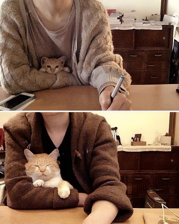 8. Он себе не изменяет...