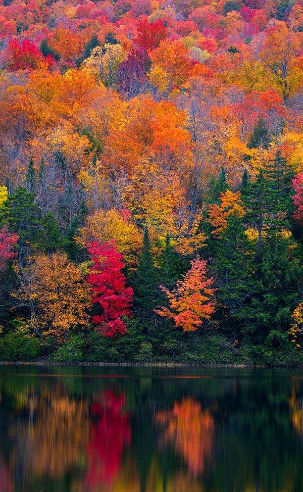1. Adirondack Dağları'ndan bir sonbahar yansıması...