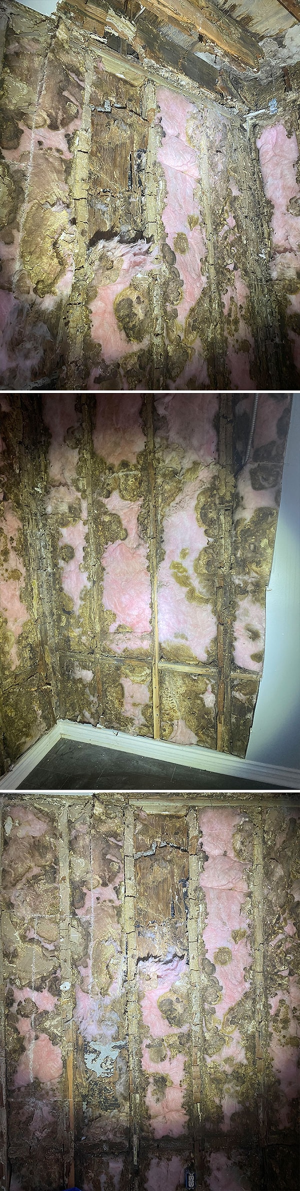 6. Вы видите наихудшую гниль каркаса, с которой мы когда-либо сталкивались при осмотре.Вы не можете даже прикоснуться к этой стене, чтобы все не развалилось. Вы только посмотрите на изоляцию вокруг нее!