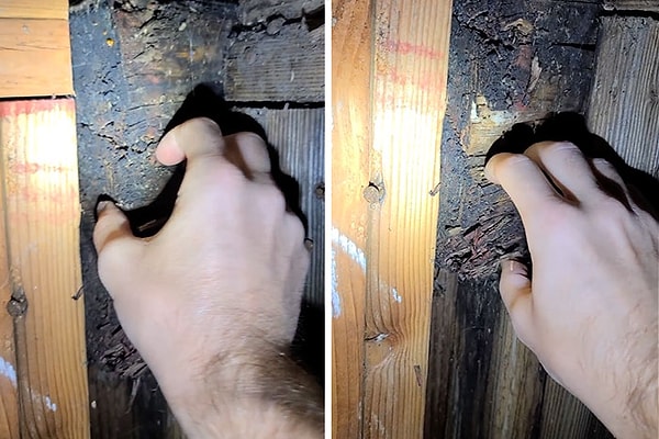 17. Дерево никогда не должно так рассыпаться вот так.