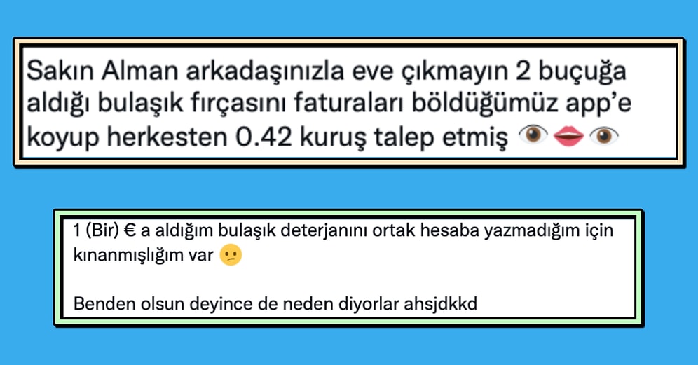 Bulaşık Fırçasının Fiyatını Kuruşu Kuruşuna Paylaştıran Alman Ev Arkadaşı Sosyal Medyayı İkiye Böldü