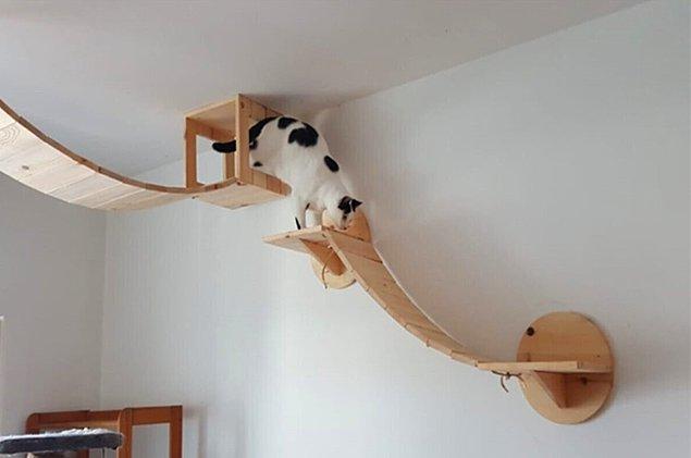 9. Kedi yürüme yolu düz duvara tırmanan canlarımız için muhteşem bir oyuncak.