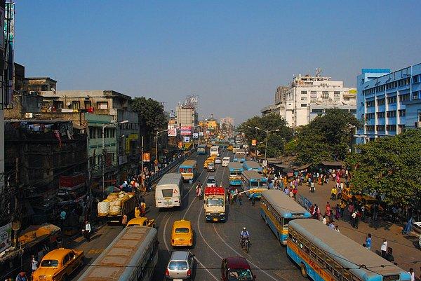 24. "Hindistan'da yollarda trafik şeritleri var ama insanlar bu şeritleri kullanmıyor."