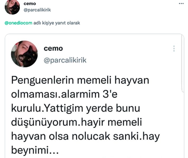 11. Allah başka dert vermesin diyelim