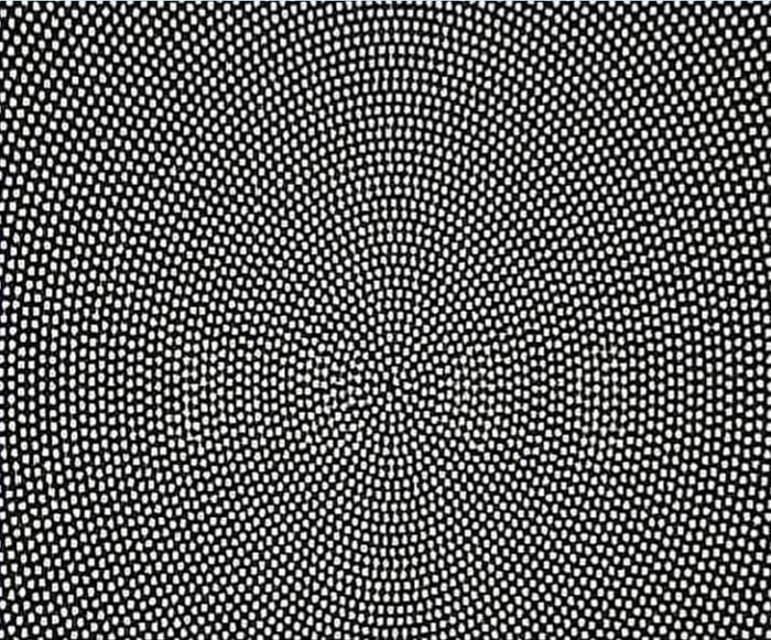 Akılları Karıştıran Göz Testi! Bu Görselde Hangi Sayıyı Görüyorsun?