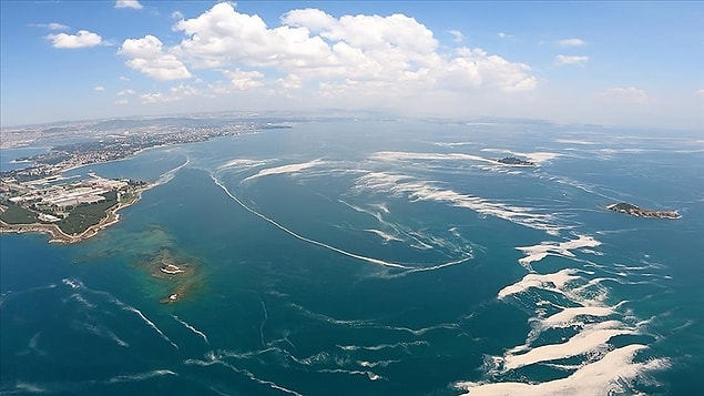 "Durağan deniz koşulları devam ettikçe müsilaj tehlikesi var"