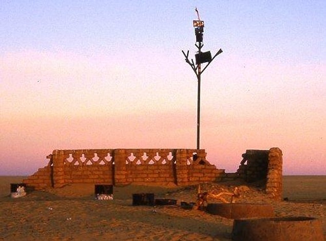 Aynı yılın Kasım ayında Tenere ağacından kalan kalıntılar alındı ve Niamey'in başkenti Nijer Ulusal Müzesi'ne nakledildi.