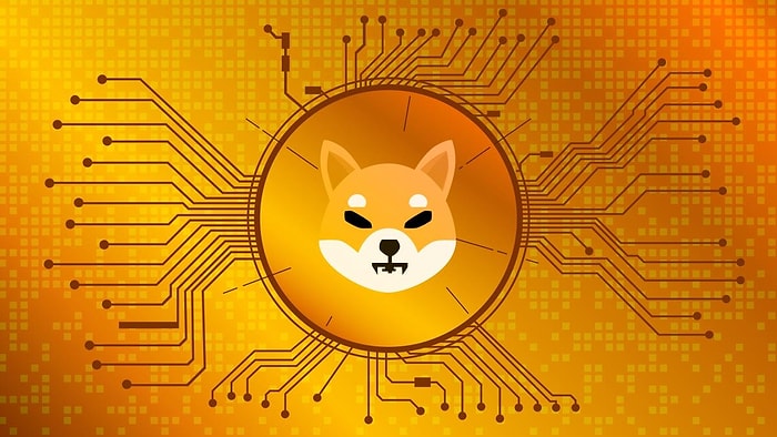 Shiba Coin Rekora Koşuyor! Shiba Nedir, Nereden Alınır? Shiba Değeri Ne Kadar?