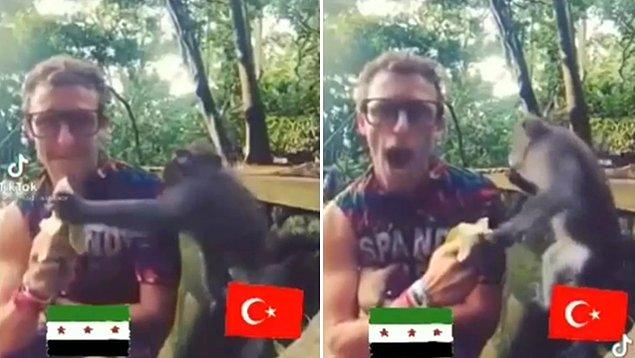 Muzu çalınan adama 'Özgür Suriye Ordusu' bayrağı koyan Suriye uyruklu olduğu iddia edilen kişi, maymuna da Türkiye bayrağı yerleştirdi. O montaj da tepki çekti.