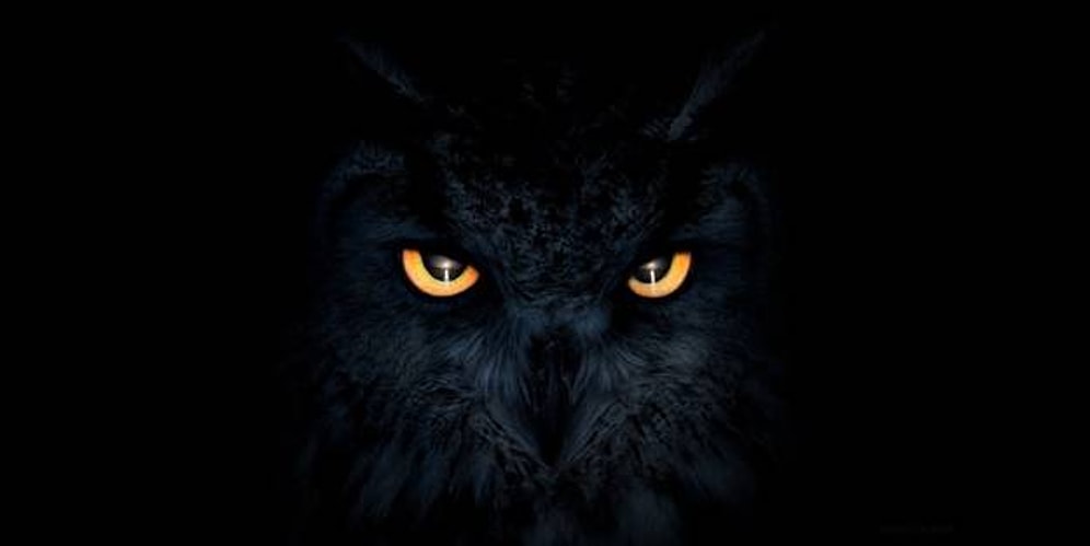 "Kara Ölüm" Geri Geldi! 150 Yıl Sonra Tekrar Görüldü...