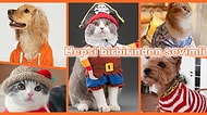 Patili Dostlarınızı Sıcak Tutarken Tatlılıklarına Tatlılık Katacak Kedi ve Köpek Kıyafetleri