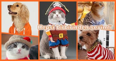 Patili Dostlarınızı Sıcak Tutarken Tatlılıklarına Tatlılık Katacak Kedi ve Köpek Kıyafetleri