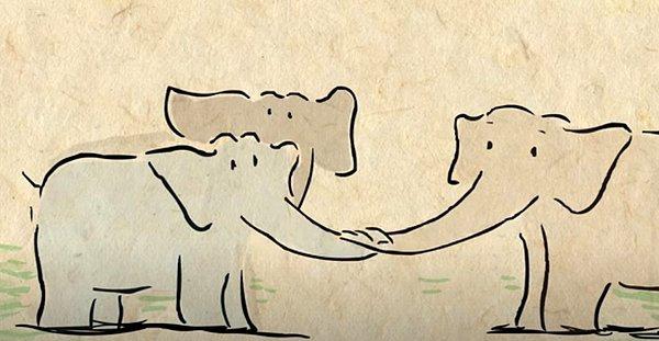 Bir fil sürüsündeki her üyeyi tanıyabilme yeteneğine sahip. Filler 30'a kadar farklı fili görüp koklayarak hafızaya atabiliyorlar.