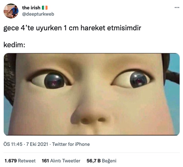 2. Kediler, kedilerimiz...