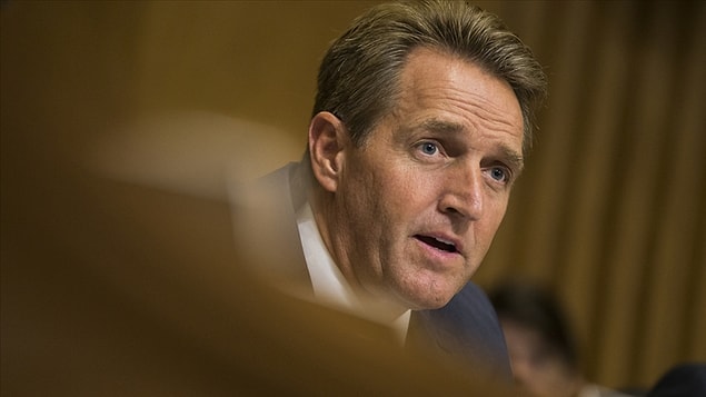 Flake kimdir?