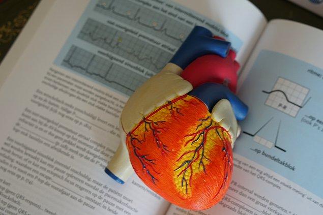 7. İlk takılabilir geçici kalp pili 1958'de kullanılmıştır. Kalp pilinin takıldığı Arne Larsson, ameliyatı gerçekleştiren doktordan bile daha uzun yaşamıştır.