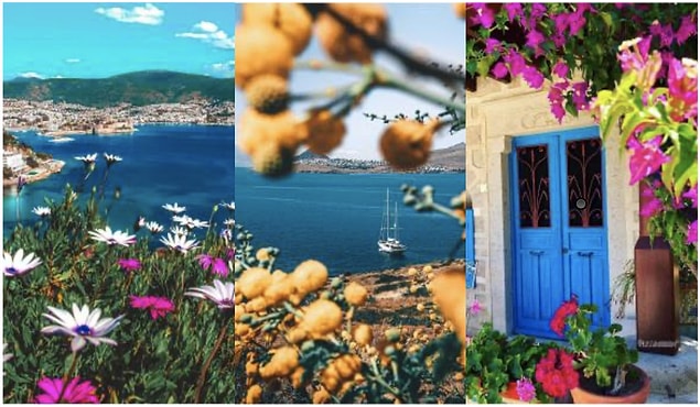 "Neden Bodrum?"