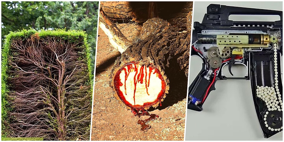 Görür Görmez Huzurunuzu Kaçırıp Sizi Uykularınızdan Edecek 20 'Gerçek Kesit'