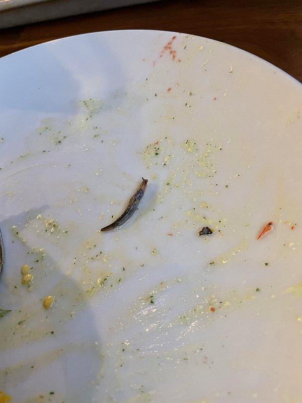 7. "Kız arkadaşım tüm salatasını yedikten sonra bakın ne gördü."