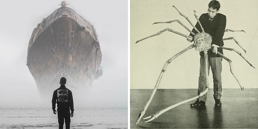 15 фотографий огромных объектов, которые вызовут ужас людей с мегалофобией