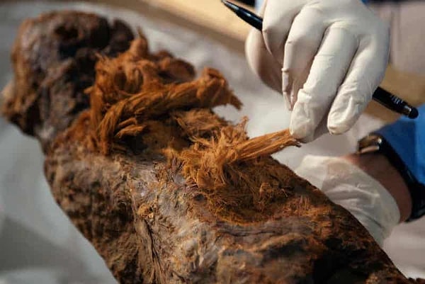 4.000 yıl önce mumyalama süreçlerinin oldukça gelişmiş olduğunu gösteren bu mumya, gelişmiş mumyalamanın Eski Krallık'a ait olduğunu belirtti.
