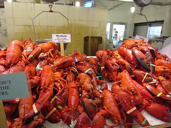 4. Адольф Гитлер был защитником прав животных, который запретил варку омаров живьем