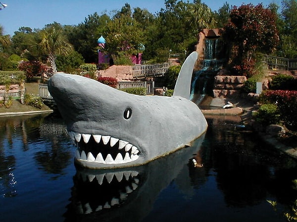 5. Акулы существуют дольше деревьев