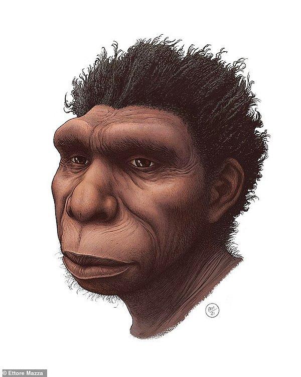 Kökeni 500 bin yıl öncesine dayanan Homo bodoensis türünün isminin epey zor bulunduğunu ekleyen araştırmacılar, Uluslararası Zoolojik Nomenklatura Komisyonu'nun isim kurallarının çok katı olduğunu ekledi.