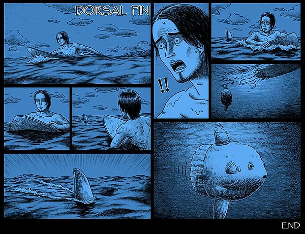 14. Cпинной плавник