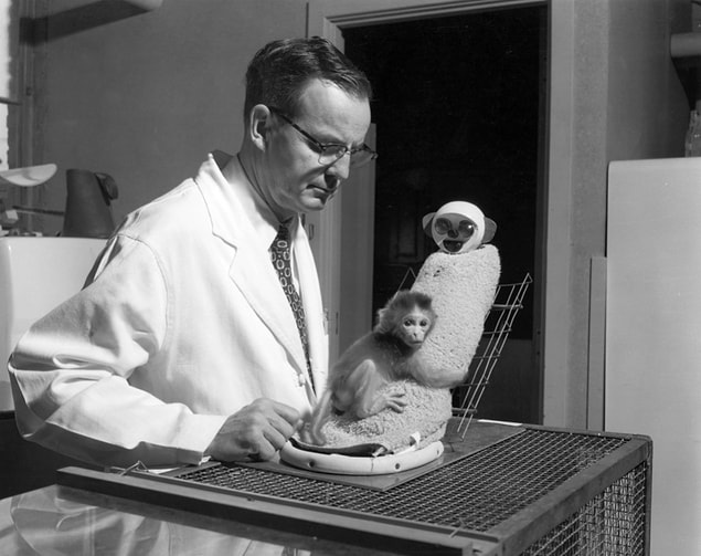10. Harry Harlow