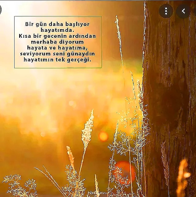 En Güzel Günaydın Mesajları