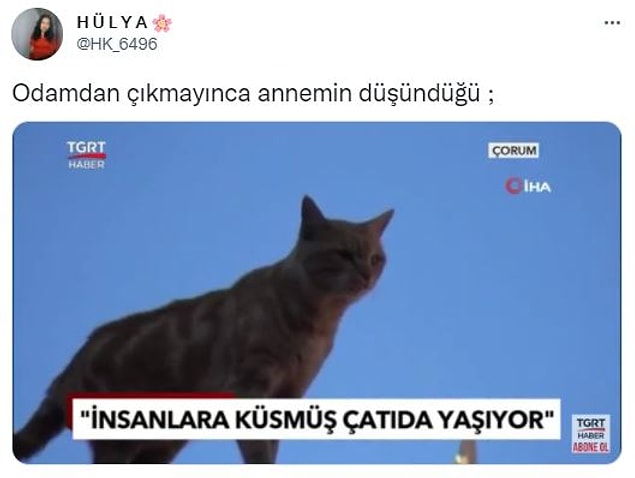 11. Günde 5-6 kere gelmezlerse öldüğümüzü bile düşünürler.