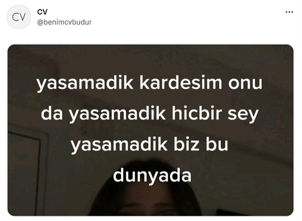 9. Bizim CV aynı bu şekil.