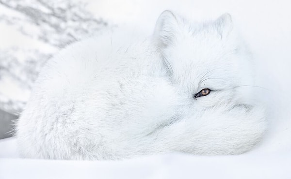 2. Наблюдательный глаз