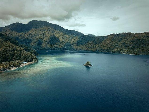 5. Papua Yeni Gine dünyanın en büyük üçüncü yağmur ormanına sahiptir.