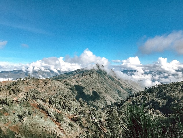 6. Papua Yeni Gine, dünyanın en zehirli kuşundan birine ev sahipliği yapıyor.