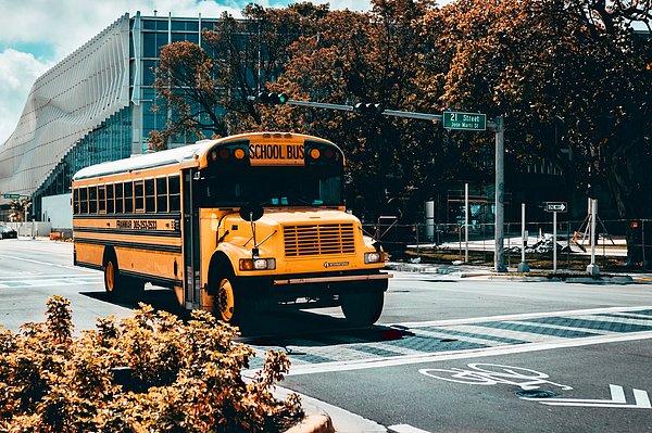 24. "Sarı okul otobüslerinin gerçek olmadığını ve sadece filmlerde kullanıldığını düşünüyordum."