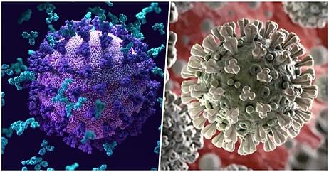 Yeni Alt Varyantının İngiltere'de Hızla Yayıldığı Koronavirüsün Nasıl Evrim Geçirdiğini Biliyor musunuz?