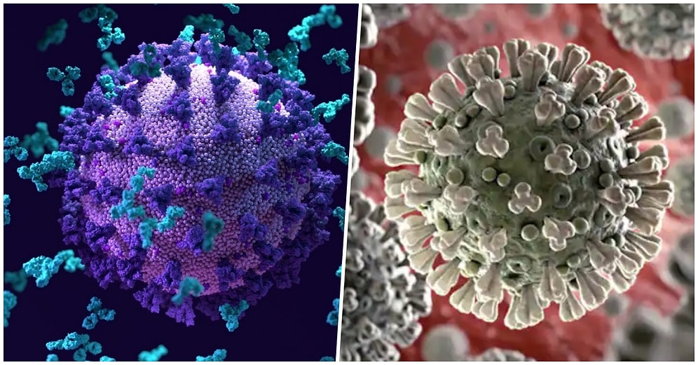 Yeni Alt Varyantının İngiltere'de Hızla Yayıldığı Koronavirüsün Nasıl Evrim Geçirdiğini Biliyor musunuz?